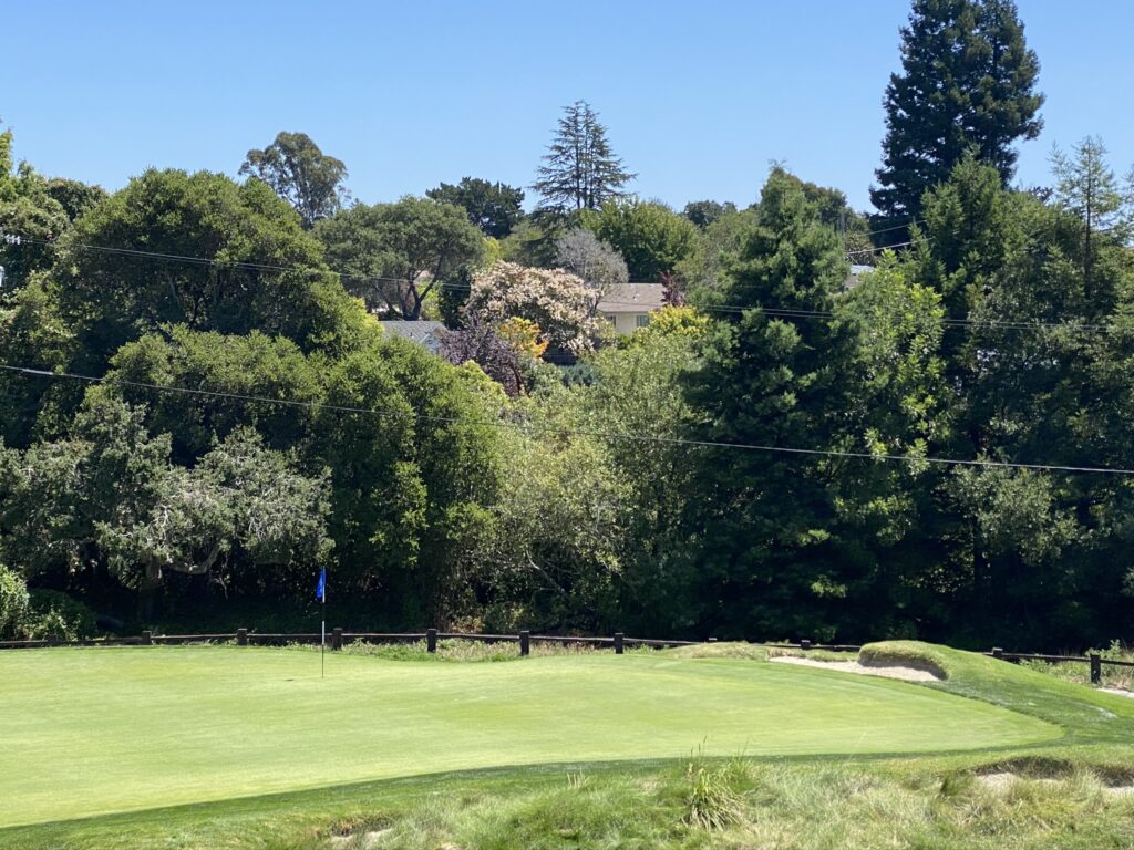  Find the giraffe, number 2 green Pasatiempo