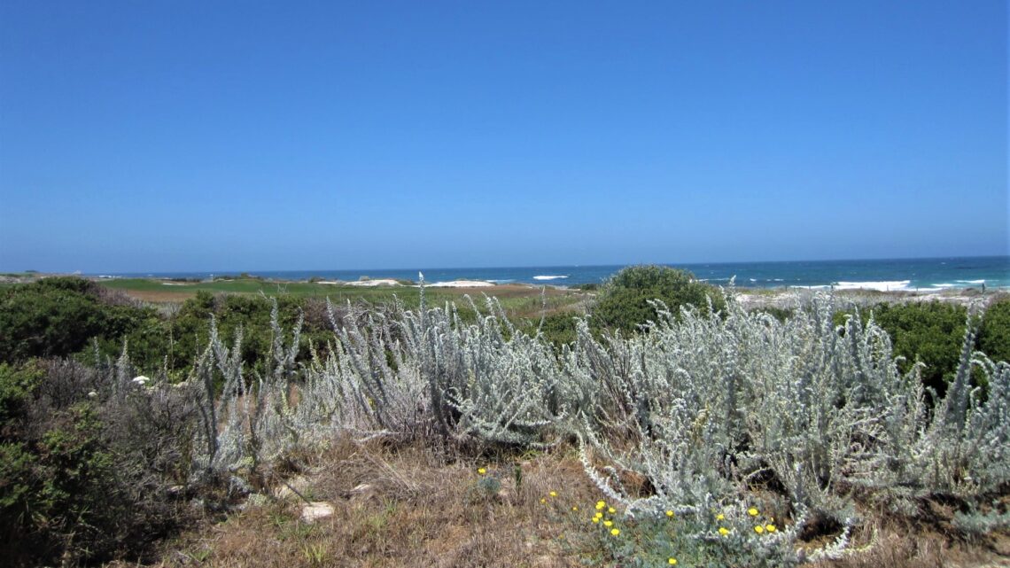 The Links at Spanish Bay