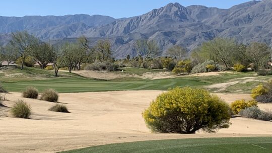 La Quinta: PGA West: Norman Golf Course