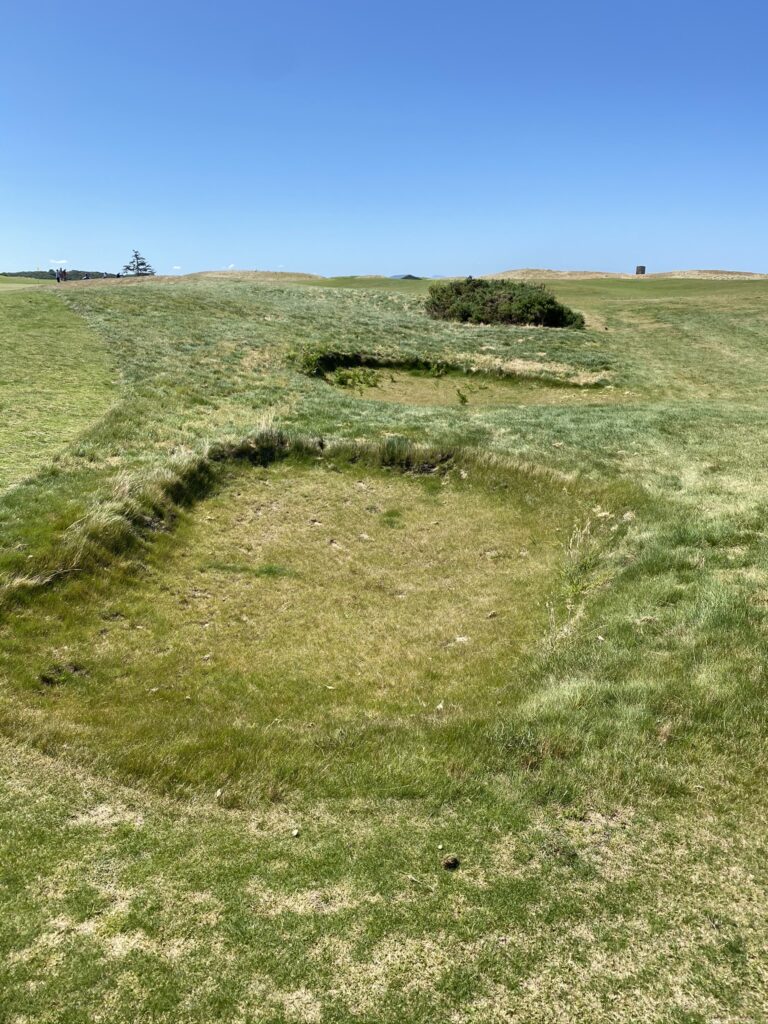 Sheep Ranch Grass Bunkers