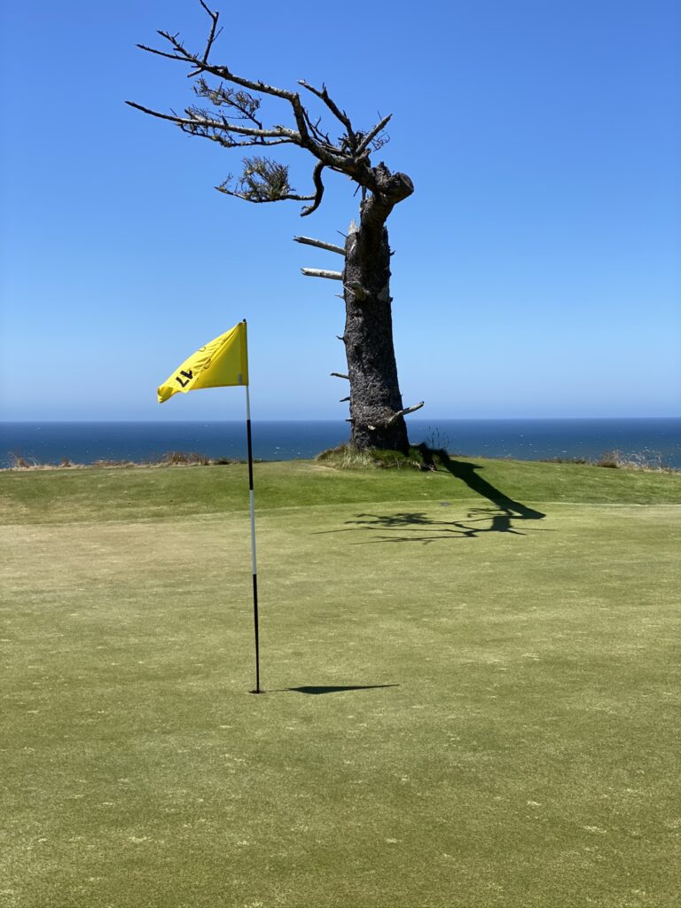 Sheep Ranch number 17 complete with signature dead tree