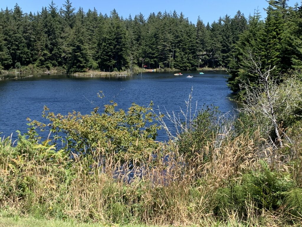 View from Bandon Trails Golf Course