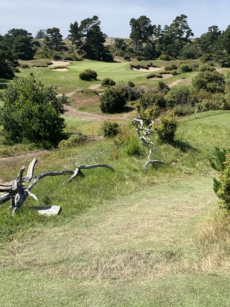 Number 17 bandon Trails
